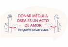 Día de la Donación de Médula Ósea: invitan a inscribirse como donantes