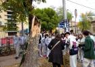 El municipio puso en marcha el Censo de Arbolado Urbano San Francisco 2022