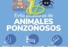 Recomendaciones para prevenir picaduras de animales ponzoñosos