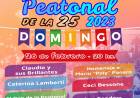 Gran cierre del ciclo 2023 de la Peatonal de la 25
