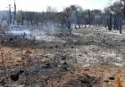 El fuego avanza sin control en Carlos Paz: ya son 20 las familias evacuadas