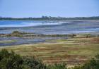 Se inauguró el Pulmón Verde Bahía de Ansenuza