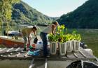San Roque más limpio: Ambiente lanza un plan piloto de fitorremediación para sanear sus aguas
