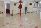 Continúa el ciclo de muestras por el Mes de la Mujer en el CCSF
