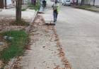 El municipio avanza con la campaña de recolección de hojas en todos los barrios