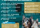 La Municipalidad habilitó la red cloacal en Casonas del Bosque e insta a los vecinos a conectarse