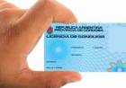Municipio prorroga por 30 días la vigencia de licencias de conducir que venzan en agosto