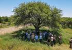 Córdoba, La Pampa y San Luis firmaron un convenio para proteger el Caldén, especie única en el mundo