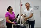 Bernarte visitó un emprendimiento en la ciudad: “Patitas Mojadas”, una peluquería canina con sello local