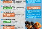 Continúa la campaña de vacunación antirrábica y castración de perros y gatos
