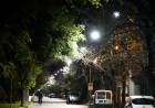 Se puso en marcha el primer tramo de la obra integral de luminaria LED en barrio Roque Sáenz Peña