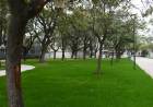 La renovada Plaza Italia suma un nuevo espacio verde y de encuentro para la comunidad