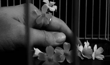 Ganadores del concurso “Córdoba desde tu celu”