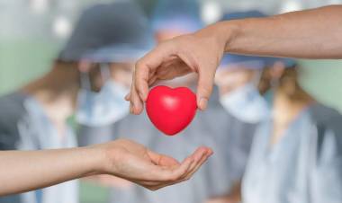 En la provincia aumentó la donación de órganos y tejidos durante el 2021