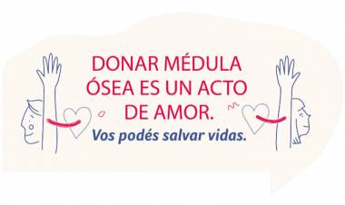 Día de la Donación de Médula Ósea: invitan a inscribirse como donantes