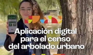 Plataforma digital para el Censo del arbolado del interior cordobés