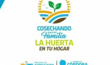 Programa Huerta en tu Hogar: 60.000 cordobeses dispondrán de semillas