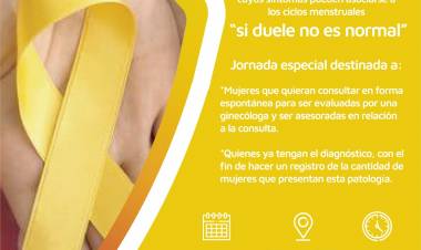 Primera Jornada de Endometriosis en la Asistencia Pública
