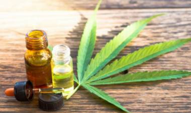 Ley de Cannabis: "Es otro triunfo de la sociedad contra la hipocresía"