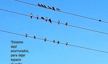 Finde de Poesía, Finde de Festival