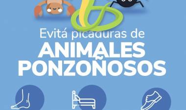 Recomendaciones para prevenir picaduras de animales ponzoñosos