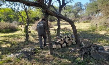 Policía Ambiental paralizó intervenciones forestales en diferentes zonas de la provincia