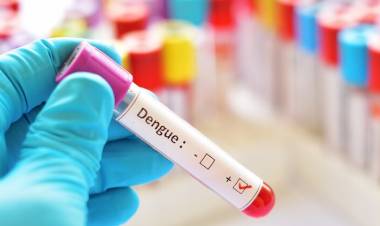 La OMS alertó que el cambio climático incide en la circulación de dengue