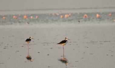 Elaboran planes de manejo para las reservas naturales La Felipa y Mar Chiquita