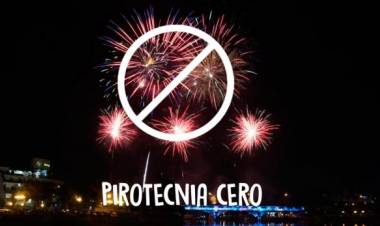 En más de la mitad de los municipios y comunas cordobesas rigen normas de «pirotecnia cero»