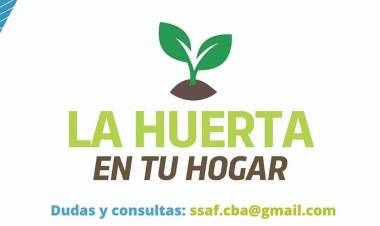 La Huerta en tu Hogar: Comenzó la distribución de 45 mil kits de semillas de otoño – invierno