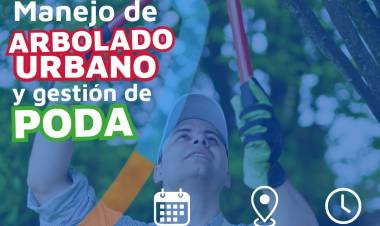 Realizarán capacitación sobre manejo de arbolado y gestión de poda