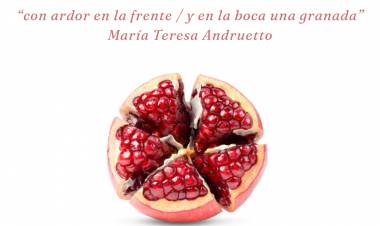 Mate Cocido con Tortas el GRAN festival