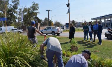Ya luce la primera producción de plantines a cargo de internos del Servicio Penitenciario en San Francisco