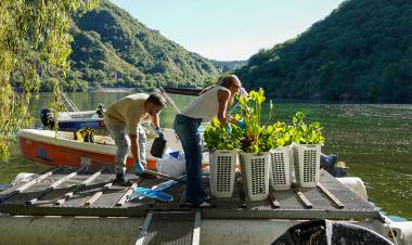 San Roque más limpio: Ambiente lanza un plan piloto de fitorremediación para sanear sus aguas