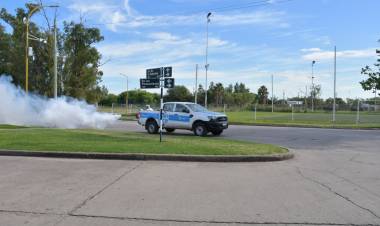 La Municipalidad intensificó su lucha contra el dengue con resultados exitosos