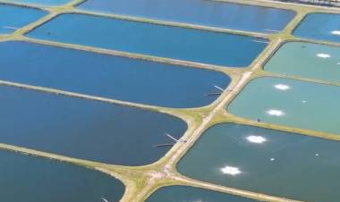 Recuperación de la Estación Depuradora de Aguas Residuales: Un paso hacia un futuro más limpio y ecológico