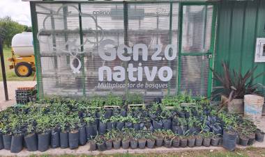 Vivero Municipal: Un laboratorio de especies arbóreas que llama la atención de la comunidad