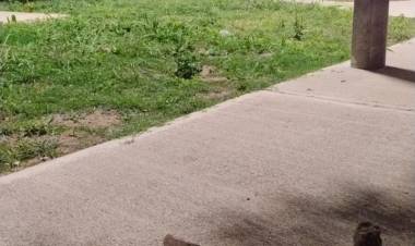 Un hombre fue detenido por ingresar a una vivienda y amenazar a sus ocupantes