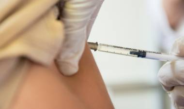 Recomendaciones ante nuevos casos de fiebre hemorrágica argentina