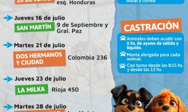 Continúa la campaña de vacunación antirrábica y castración de perros y gatos