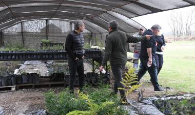 El Vivero Municipal continúa creciendo con nuevos proyectos e infraestructura