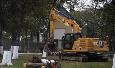 Retiran árboles secos y ramas con riesgo de caída en Av. Maipú