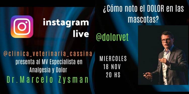 Charla: ¿Cómo noto el dolor en las mascotas?