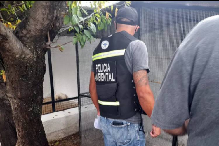 Policía Ambiental rescató 24 aves de una vivienda en La Calera