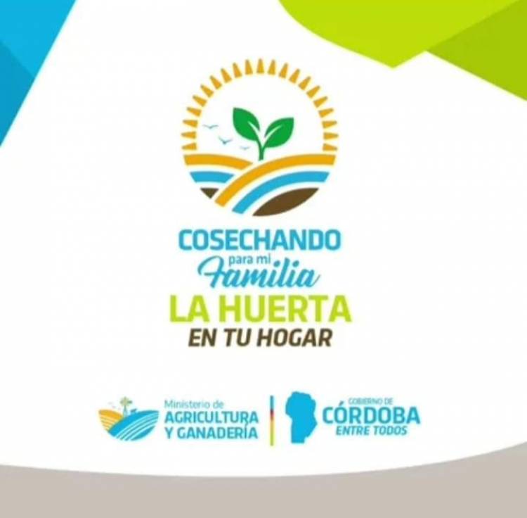 Programa Huerta en tu Hogar: 60.000 cordobeses dispondrán de semillas