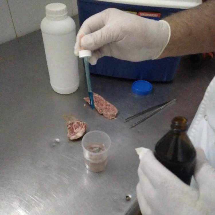 El municipio avanzan en los controles a las carnicerías