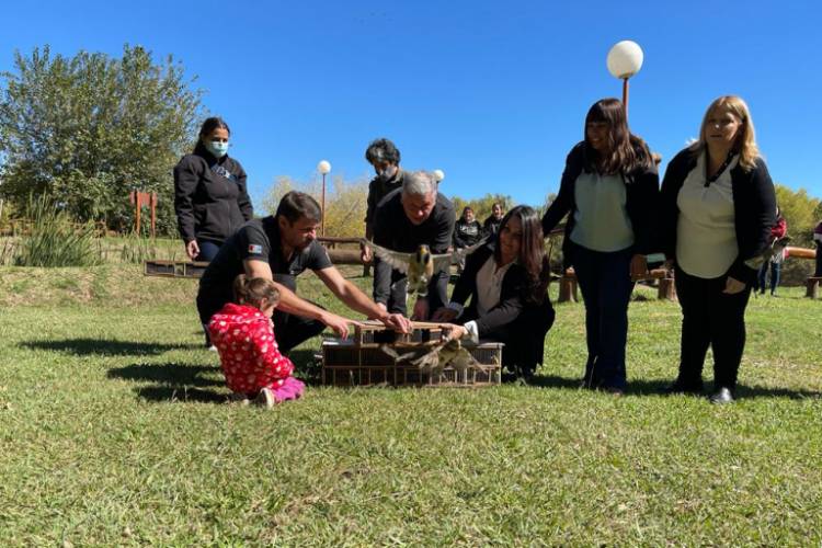 Policía Ambiental liberó más de 50 aves en Arroyito