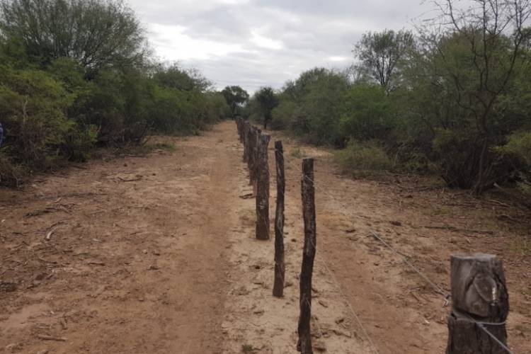 Ambiente recordó la obligatoriedad de picadas perimetrales para prevenir incendios