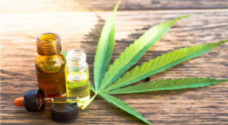 Ley de Cannabis: "Es otro triunfo de la sociedad contra la hipocresía"