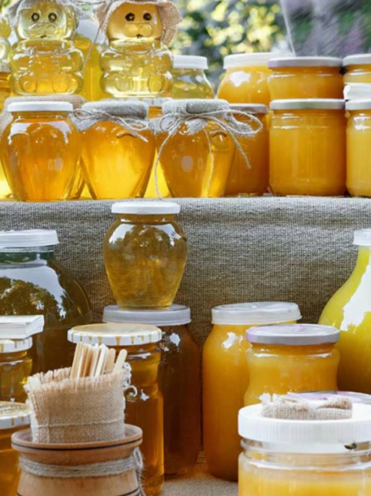 Villa de Soto tendrá en julio la Expo Miel 2022